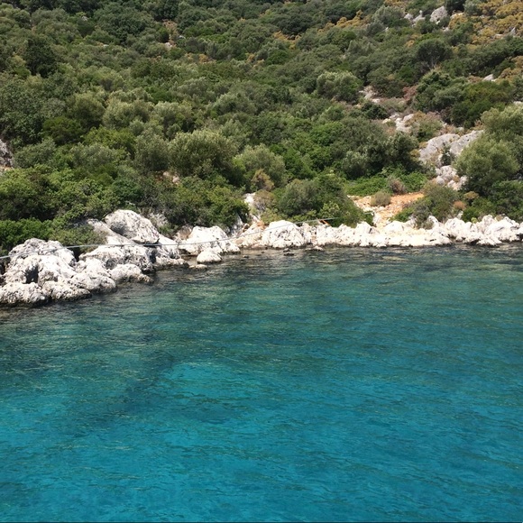 Meet your Posher, Mikayla - Picture 2 of 2